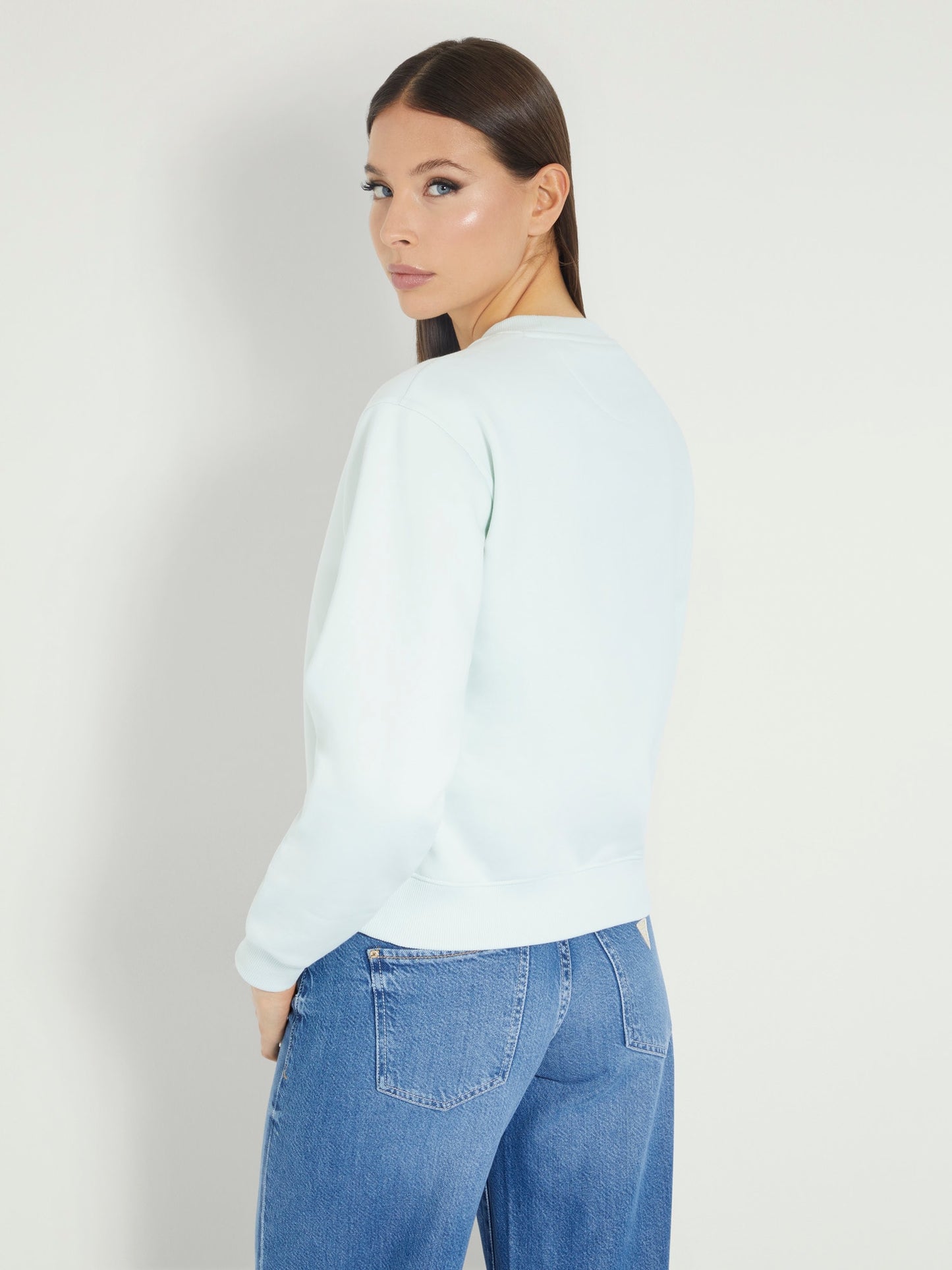 Icon logo sweatshirt